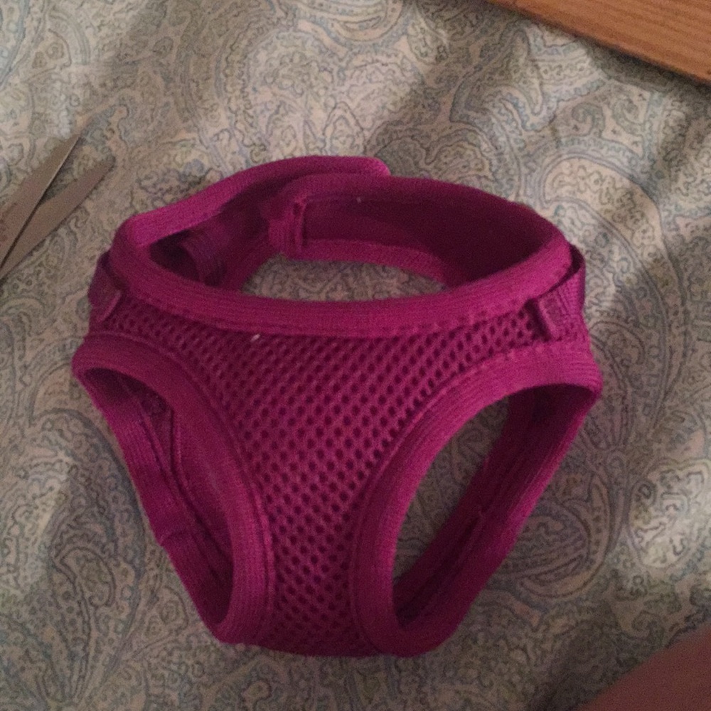 XS dog harness. Didn’t fit my dog. Petco